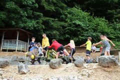 tn_IMG_6686