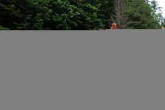 tn_IMG_6713
