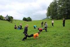 tn_IMG_6826
