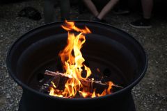 tn_IMG_6908
