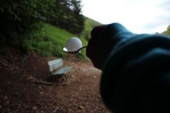tn_IMG_7415