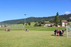tn_IMG_2199