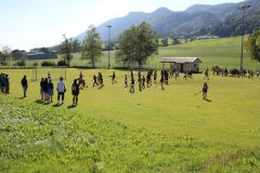 tn_IMG_7638