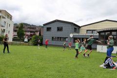 tn_IMG_7317