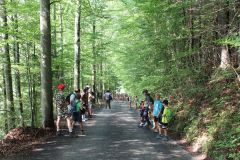 tn_IMG_1951