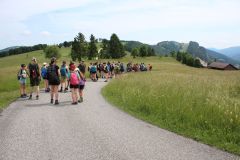 tn_IMG_6542