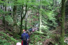 tn_IMG_6551