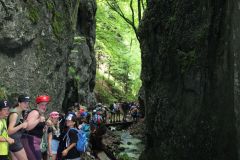 tn_IMG_6559