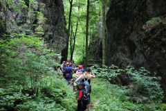 tn_IMG_6584