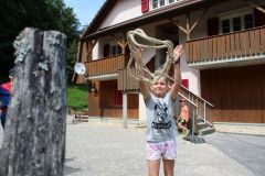tn_IMG_6462