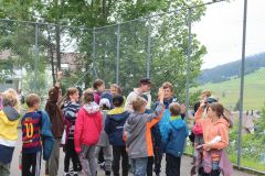 Web_IMG_3340