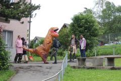 Web_IMG_3486