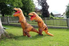 Web_IMG_3739