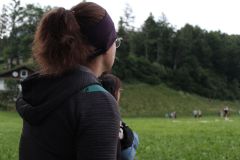 Web_IMG_4150