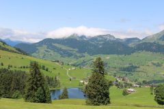 Web_IMG_3132