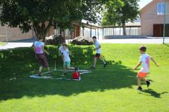 Web_IMG_0252