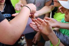 tn_IMG_2361