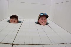 tn_IMG_2477