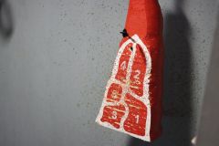 tn_IMG_2496