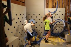 tn_IMG_2503