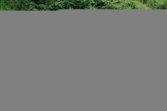tn_IMG_3483