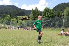 tn_IMG_3508