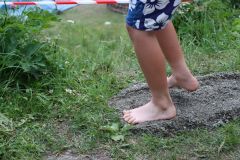 tn_IMG_3599
