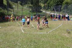 tn_IMG_3830