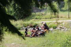 tn_IMG_2639