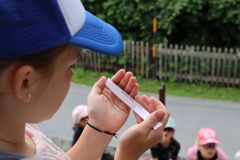 tn_IMG_2766