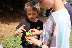 tn_IMG_2966