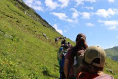 tn_IMG_2210