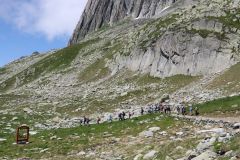tn_IMG_2228