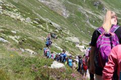 tn_IMG_2264