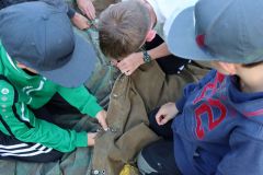 tn_IMG_2289