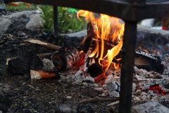 tn_IMG_1597
