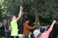 tn_IMG_1892