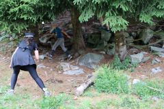 tn_IMG_2037