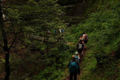tn_DSC01122