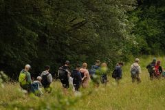 tn_DSC01153