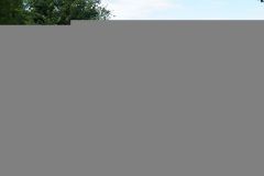 tn_DSC07501