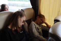 tn_IMG_8575