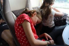 tn_IMG_8576