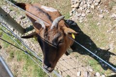 tn_IMG_1009