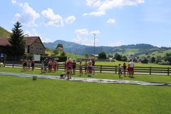 tn_IMG_1022