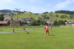 tn_IMG_1100