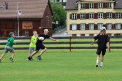 tn_IMG_4972