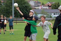 tn_IMG_5043