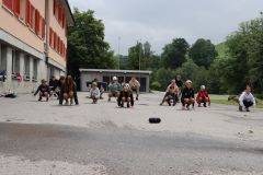 tn_IMG_5110