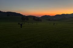 IMG_1138_3